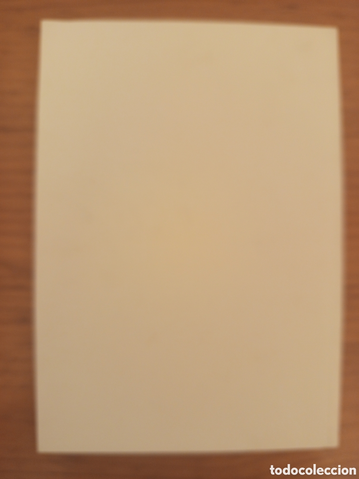 Libros de segunda mano: JOHN SINGER SARGENT A MALLORCA (MEREDITH MARTINDALE) - Foto 12