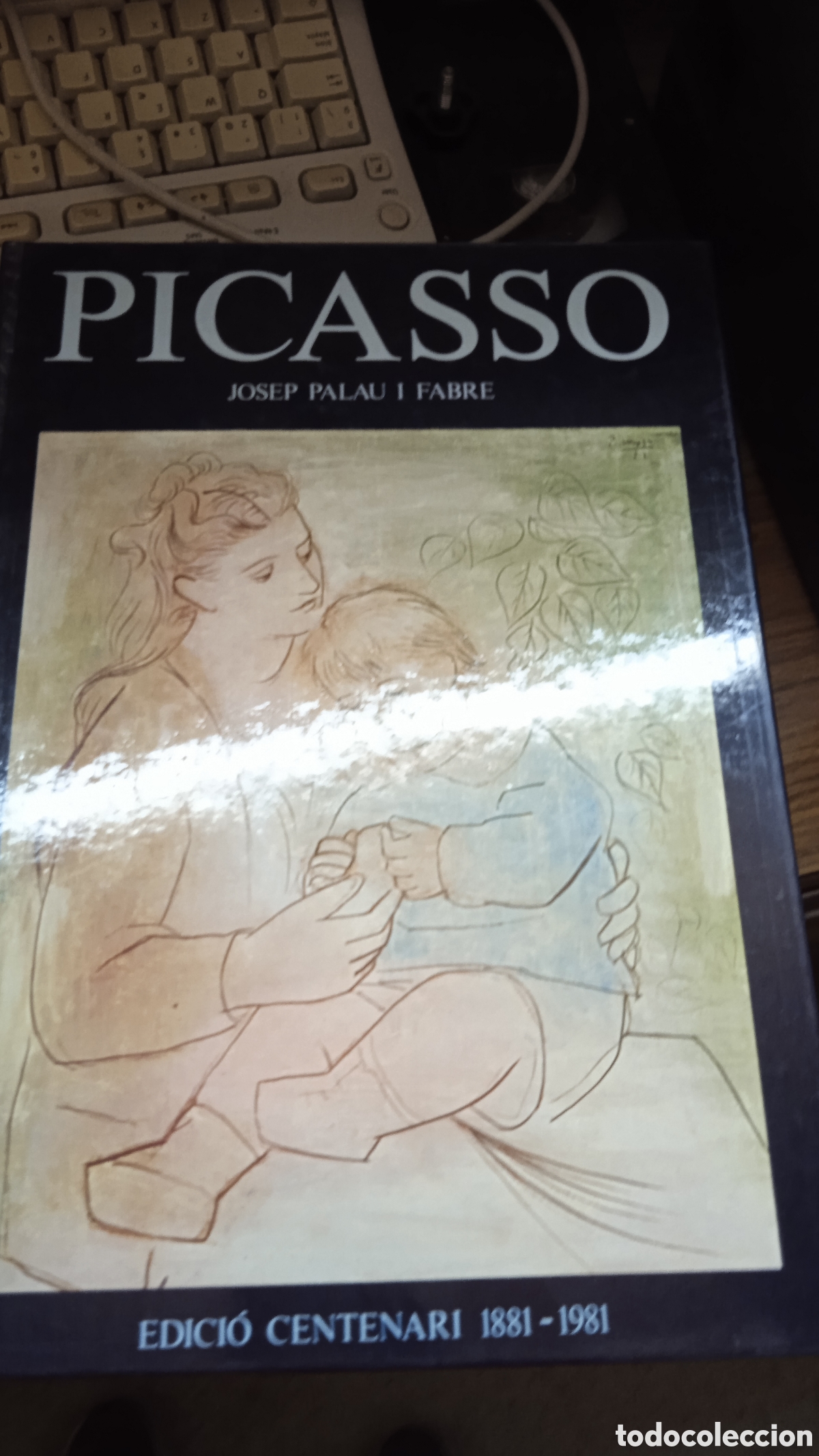 Libros de segunda mano: PICASSO &ndash; Josep Palau i Fabre | Edici&oacute; Centenari 1881-1981 | Libro de arte en catal&aacute;n