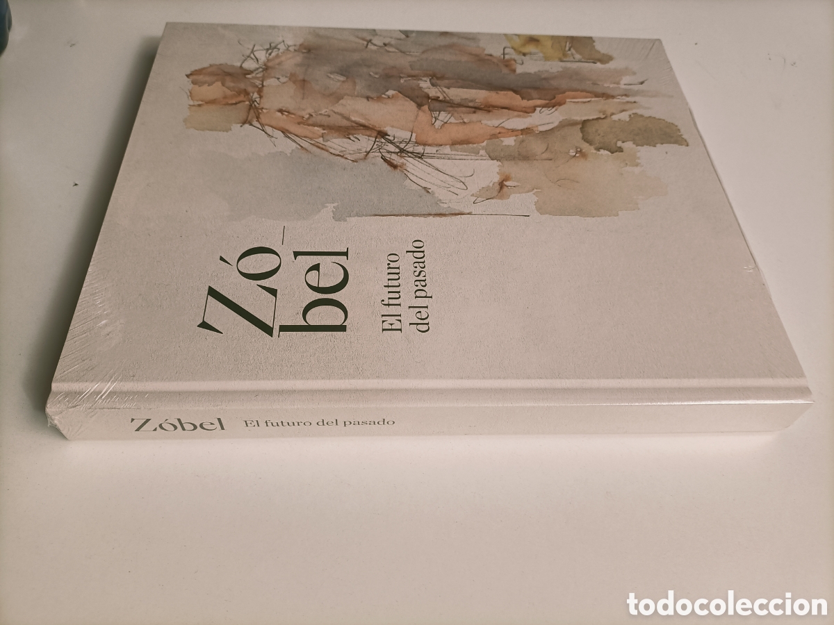 Libros de segunda mano: Zobel El futuro del pasado. Museo Nacional del Prado