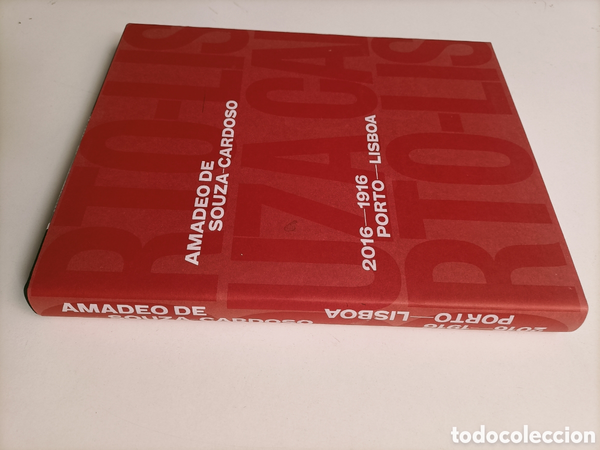 Libros de segunda mano: Amadeo de Souza Cardoso 2016 1916 Porto Lisboa