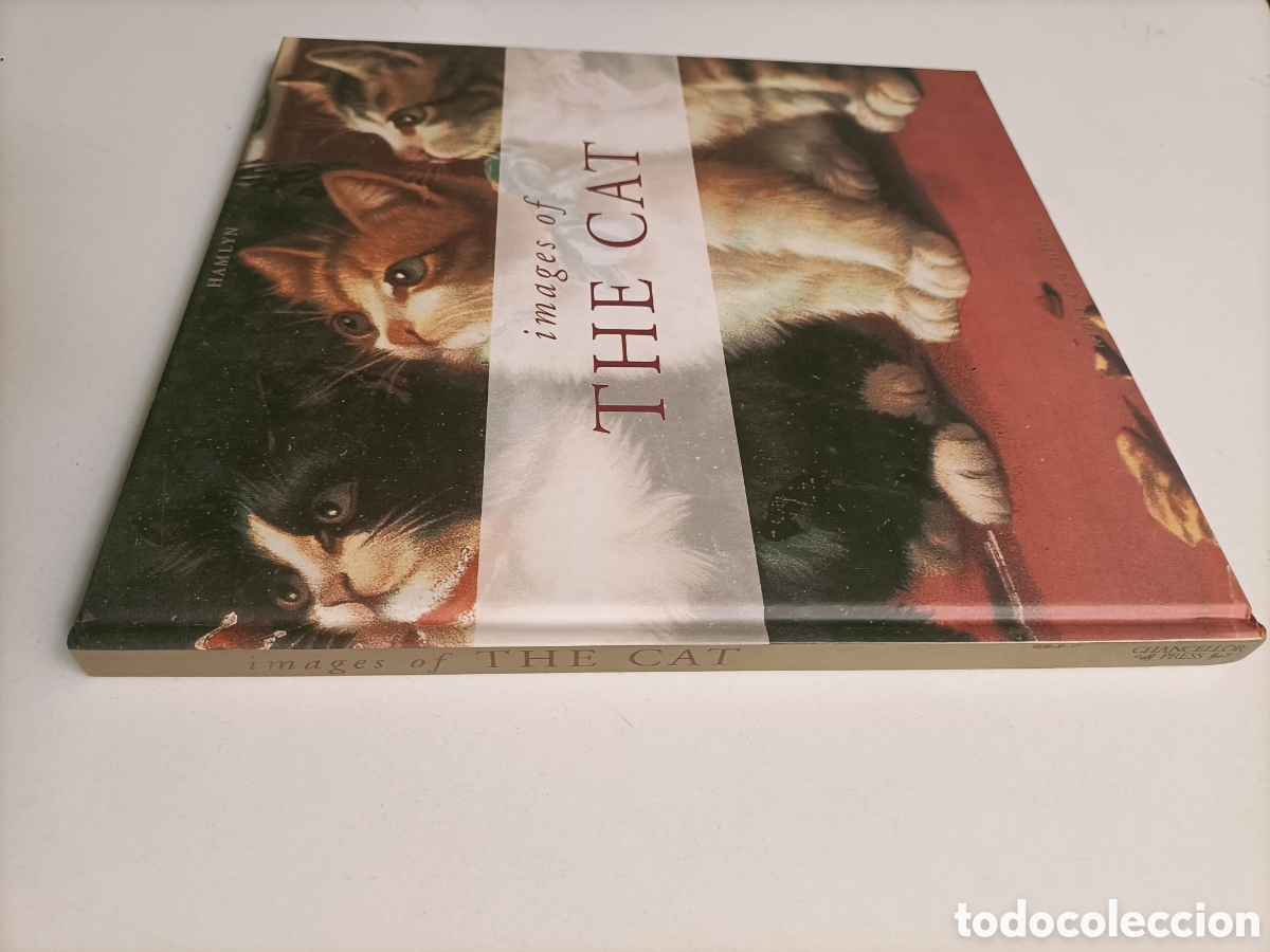 Libros de segunda mano: Images of The Cat. Texto en ingl&eacute;s im&aacute;genes del gato en el arte