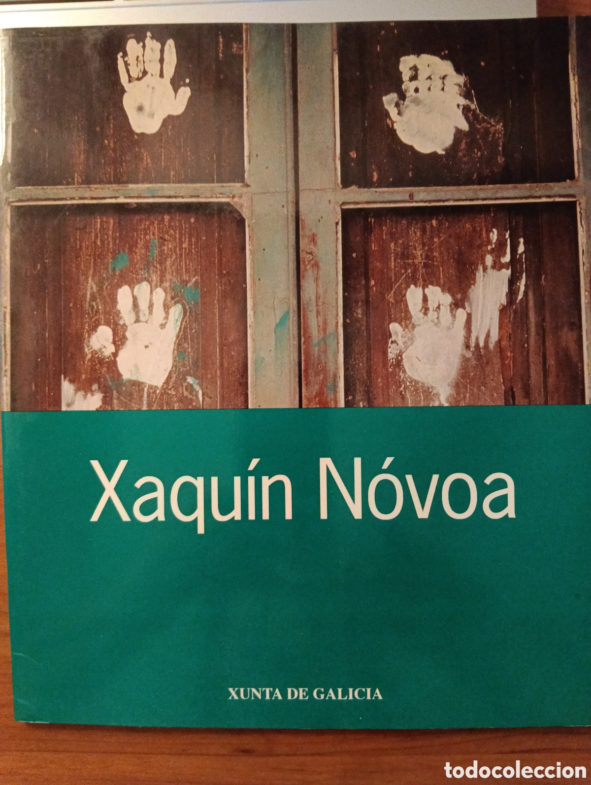 Libros de segunda mano: CATALOGO DEL PINTOR GALLEGO XAQUIN NOVOA -EDI XUNTA DE GALICIA - 1998
