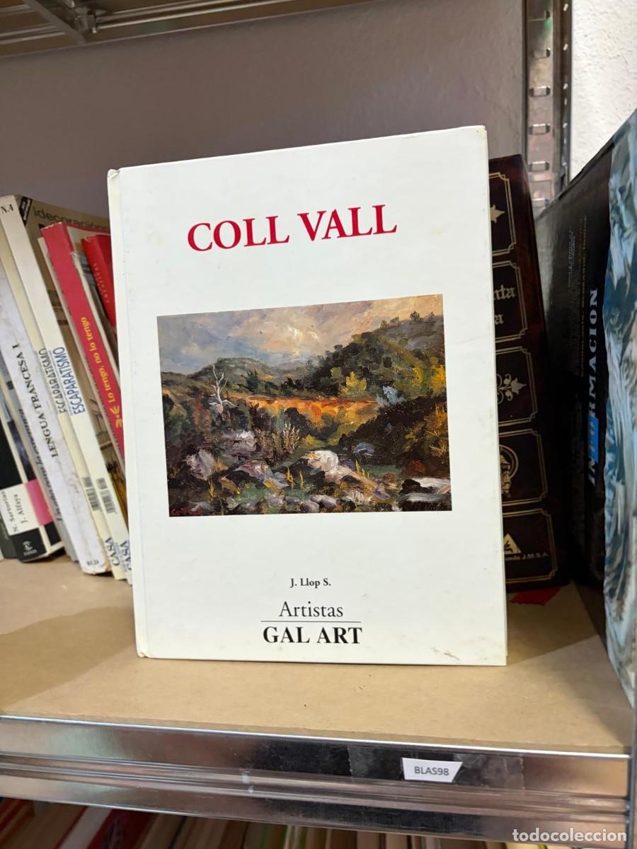 Libros de segunda mano: BLAS98 Coll Vall &ndash; J. Llop S. &ndash; Artistas GAL ART