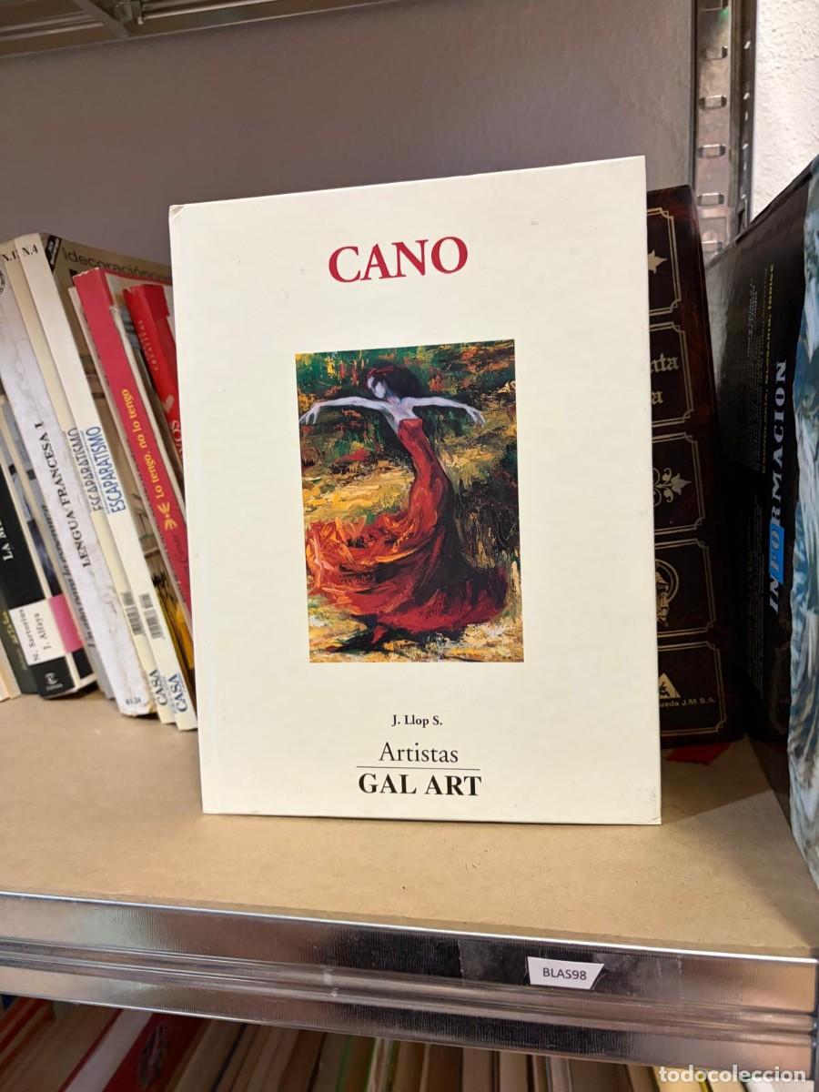 Libros de segunda mano: BLAS98 Cano &ndash; J. Llop S. &ndash; Artistas GAL ART