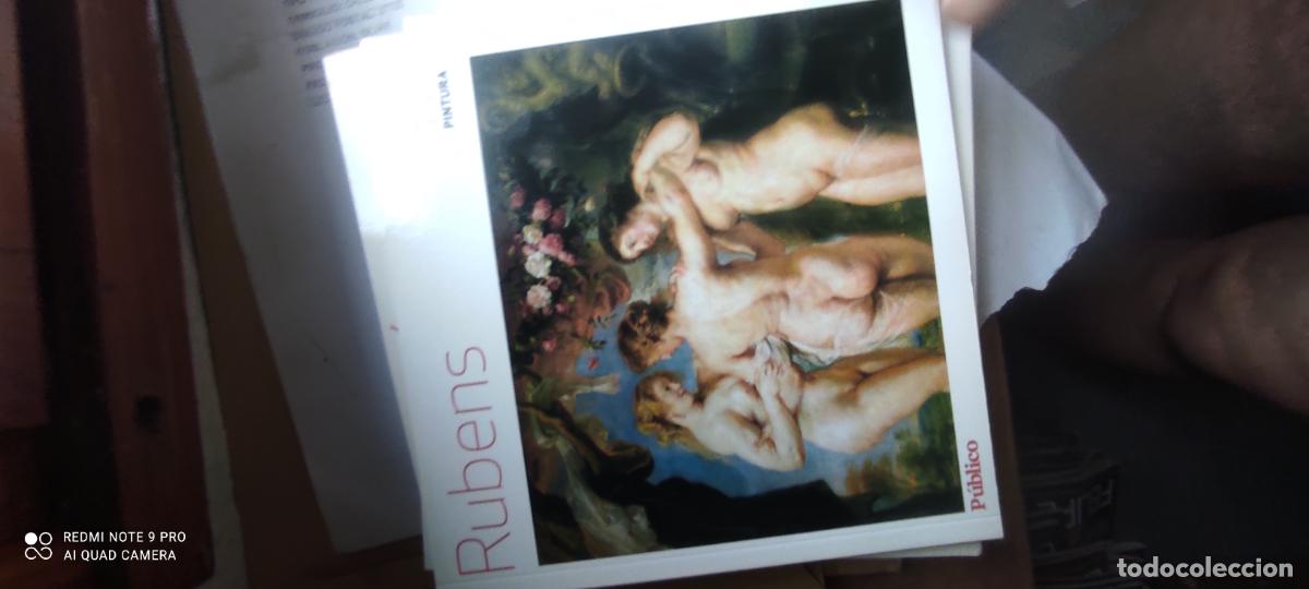 Libros de segunda mano: Rubens. Grandes maestros de la pintura. P&uacute;blico
