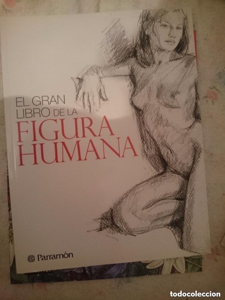 Libros de segunda mano: EL GRAN LIBRO DE LA FIGURA HUMANA - EDITORIAL PARRAMON --LEER DETALLES.