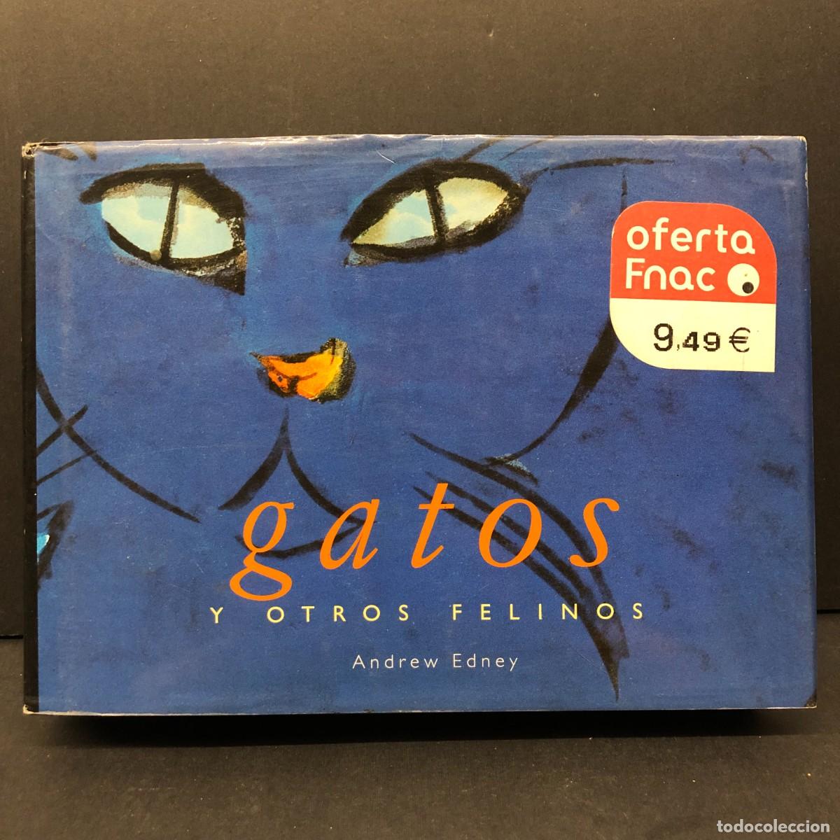 Libros de segunda mano: GATOS Y OTROS FELINOS - ANDREW EDNEY - TASCHEN - 1999 / 2634