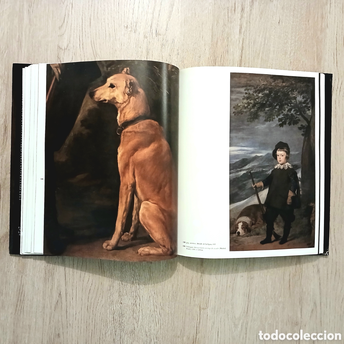 Libros de segunda mano: Vel&aacute;zquez: pintor y cortesano - Foto 19