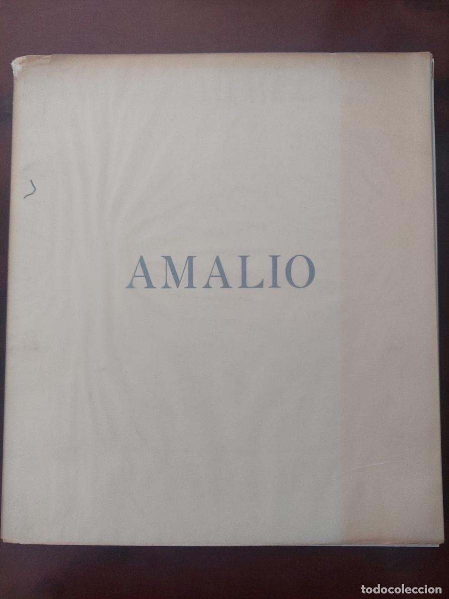 Libros de segunda mano: Amalio. Escuela de Artes Aplicadas y Oficios art&iacute;sticos &rdquo;La Madraza&rdquo; Universidad de Granada, 1979