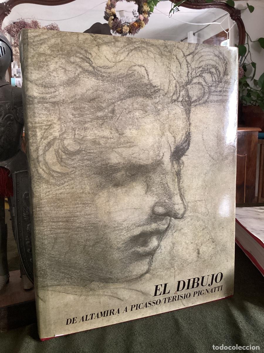 Libros de segunda mano: EL DIBUJO . DE ALTAMIRA A PICASSO . TERISIO PIGNATTI . EDICIONES C&Aacute;TEDRA . 1981