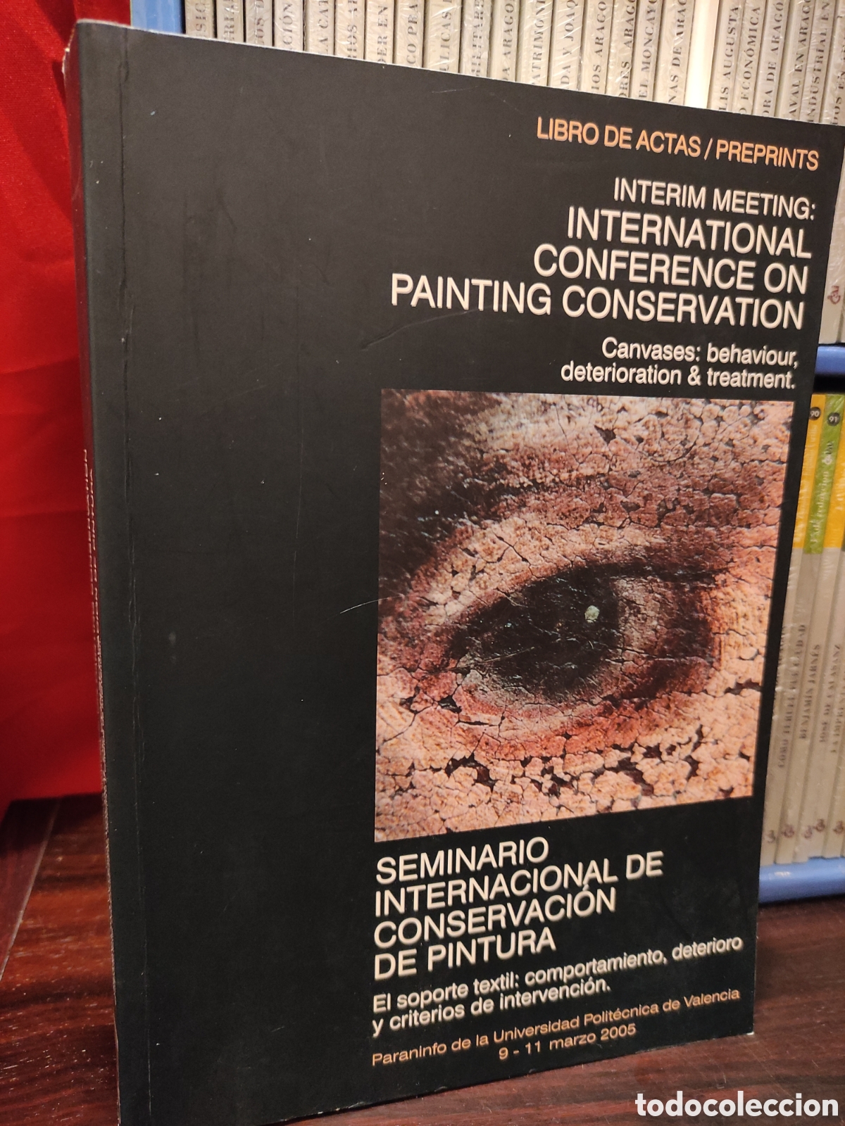 Libros de segunda mano: SEMINARIO INTERNACIONAL DE CONSERVACION DE PINTURA - Maria Castell Agusti - Laura Fuster Lopez