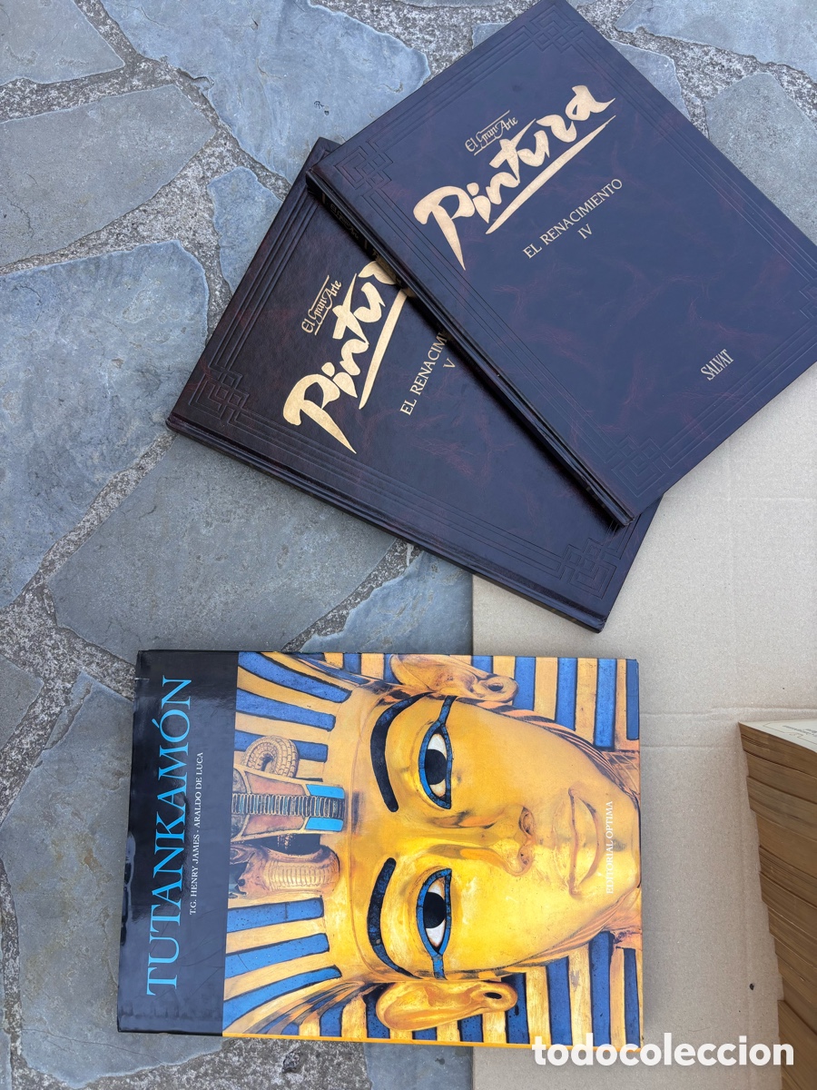 Libros de segunda mano: El Gran Arte: El Renacimiento (Editorial Salvat)