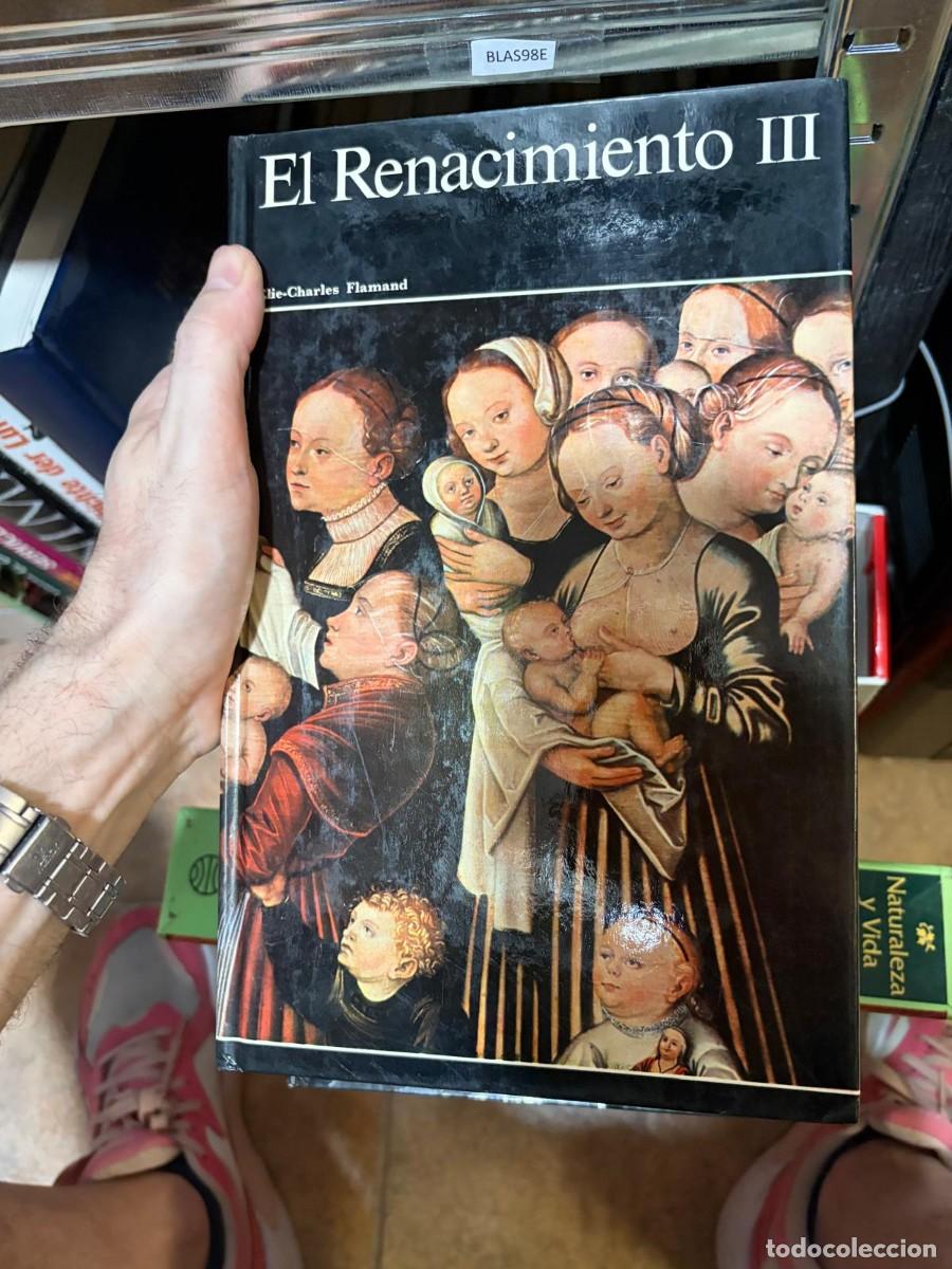 Libros de segunda mano: BLAS98E libro sobre pintura - El Renacimiento III Elie-Charles Flamand