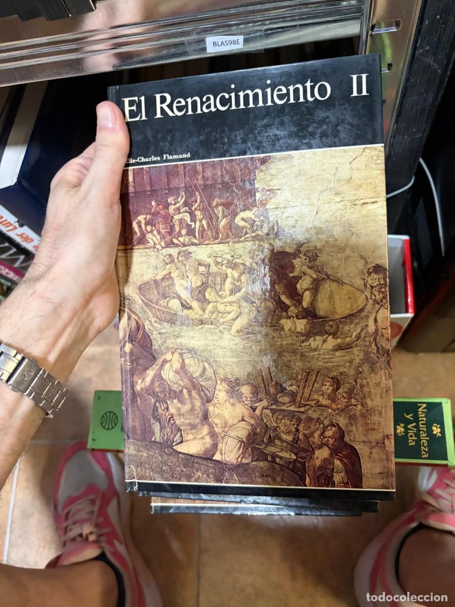 Libros de segunda mano: BLAS98E libro sobre pintura - El Renacimiento II Elie-Charles Flamand