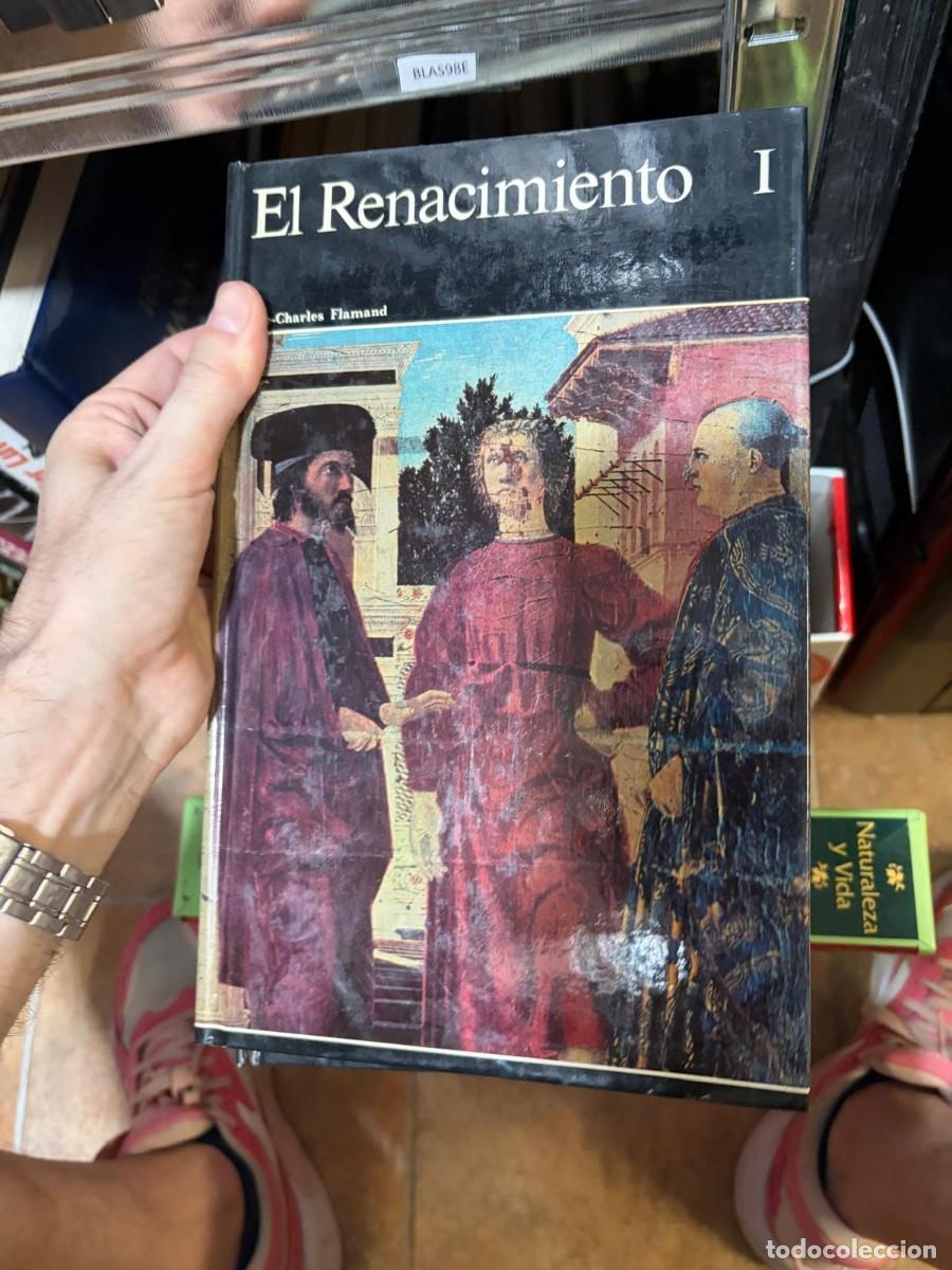 Libros de segunda mano: BLAS98E libro sobre pintura - El Renacimiento I Elie-Charles Flamand