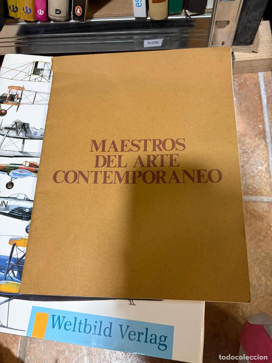 Libros de segunda mano: BLAS99 - LIBRO MAESTROS DEL ARTE CONTEMPORANEO