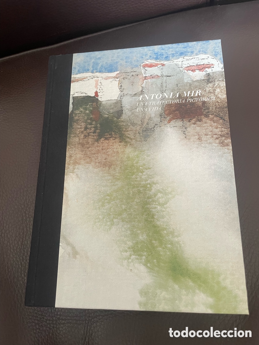 Libros de segunda mano: Antonia Mir: Una trayectoria pict&oacute;rica, una vida