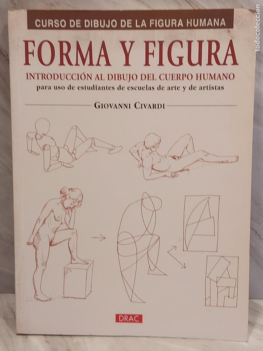 Libros de segunda mano: FORMA Y FIGURA / GIOVANNI CIVARDI / CURSO DE DIBUJO DE LA FIGURA HUMANA / EL DRAC / 2012