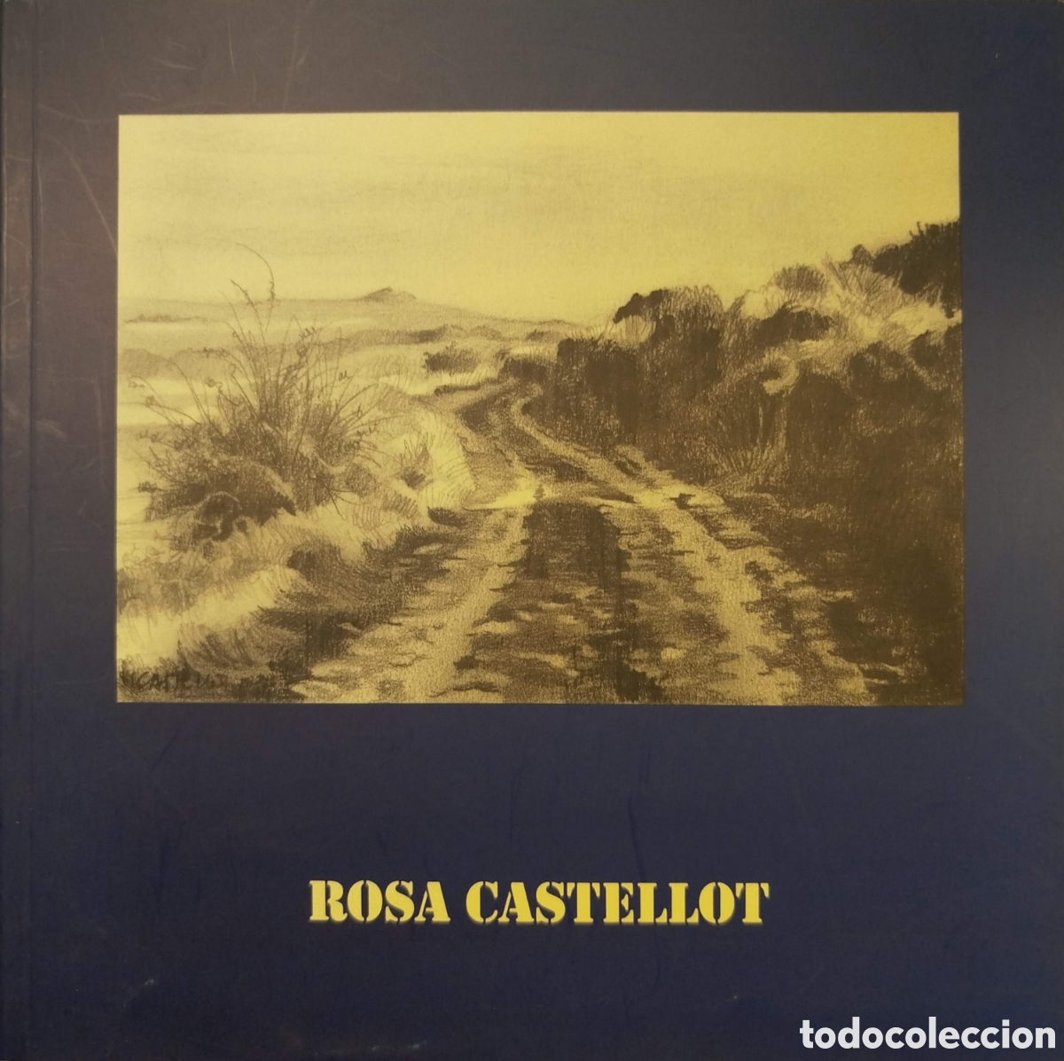 Libros de segunda mano: Rosa Castellot. Ayuntamiento de Logro&ntilde;o. 2004.