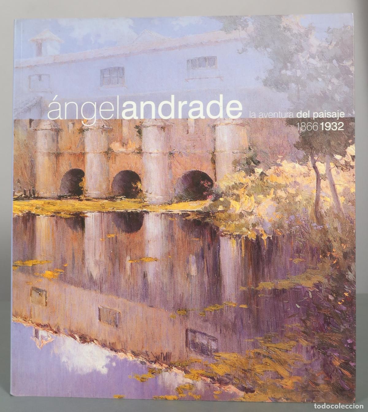 Libros de segunda mano: &Aacute;ngel Andrade: La aventura del paisaje