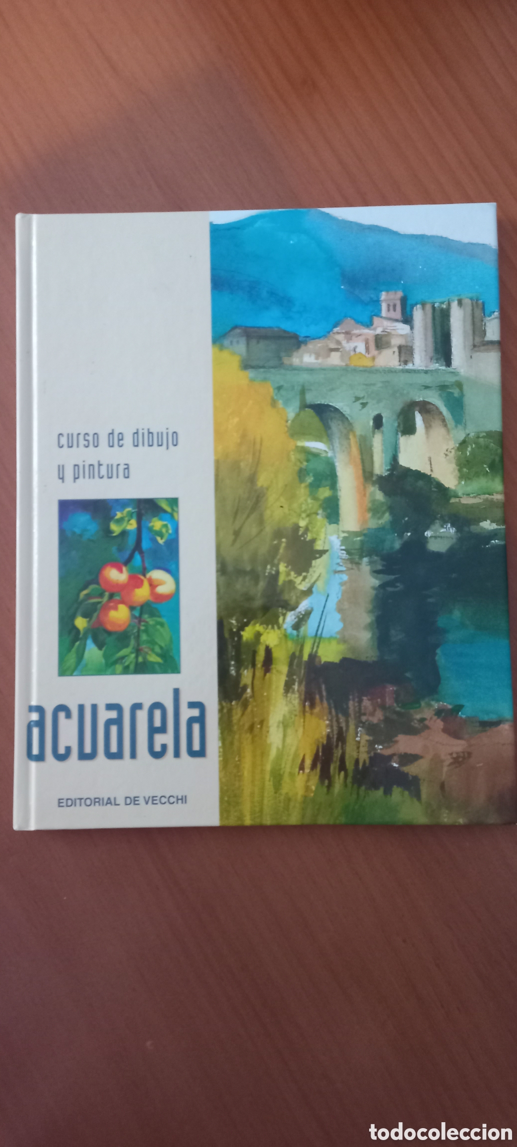 Libros de segunda mano: Curso de dibujo y pintura Acuarela editorial de Vecchi 2001