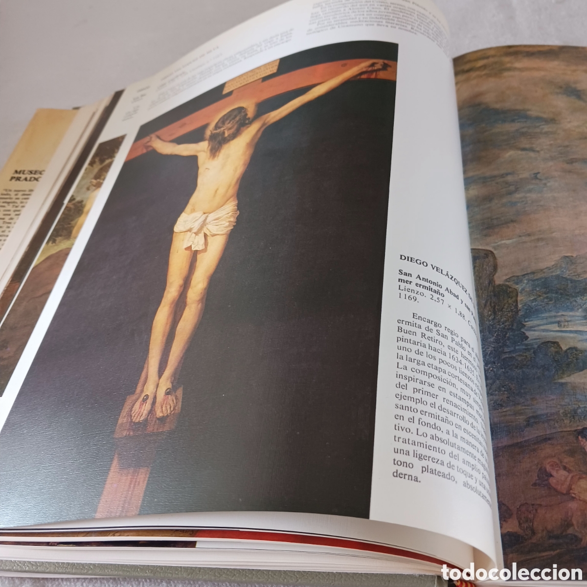Libros de segunda mano: Museo del Prado por Alfonso E.Perez Sanchez - Foto 18