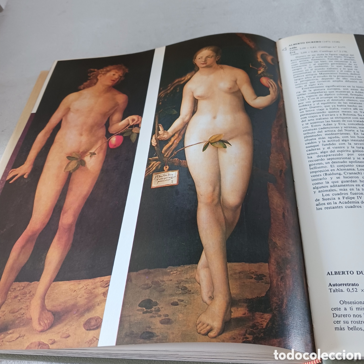 Libros de segunda mano: Museo del Prado por Alfonso E.Perez Sanchez - Foto 28