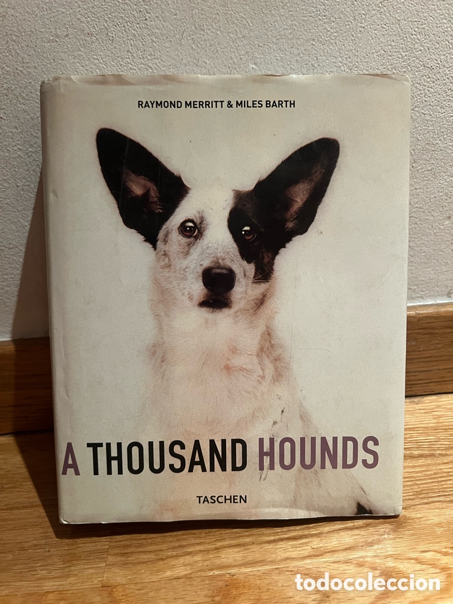Libros de segunda mano: RAYMOND MERRITT & MILES BARTH A THOUSAND HOUNDS