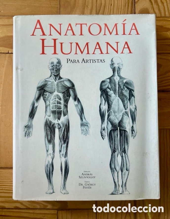 Libros de segunda mano: Anatom&iacute;a humana para artistas.