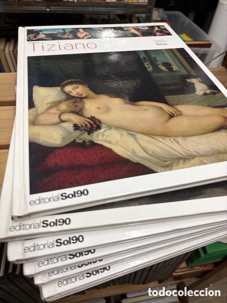 Libros de segunda mano: Lote 8 libros grandes maestros de la pintura: degas gauguin Miguel &Aacute;ngel cezanne renoir van Gogh