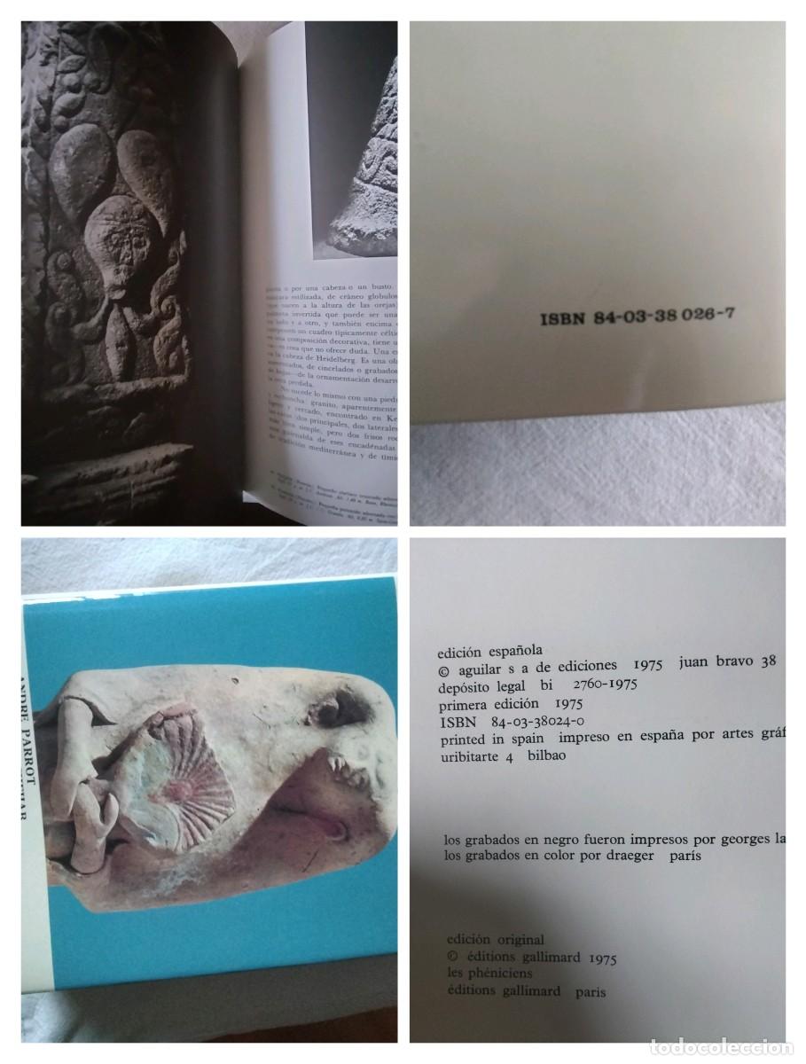 Libros de segunda mano: Colecci&oacute;n completa &rdquo;el universo de las formas&rdquo; - Foto 5