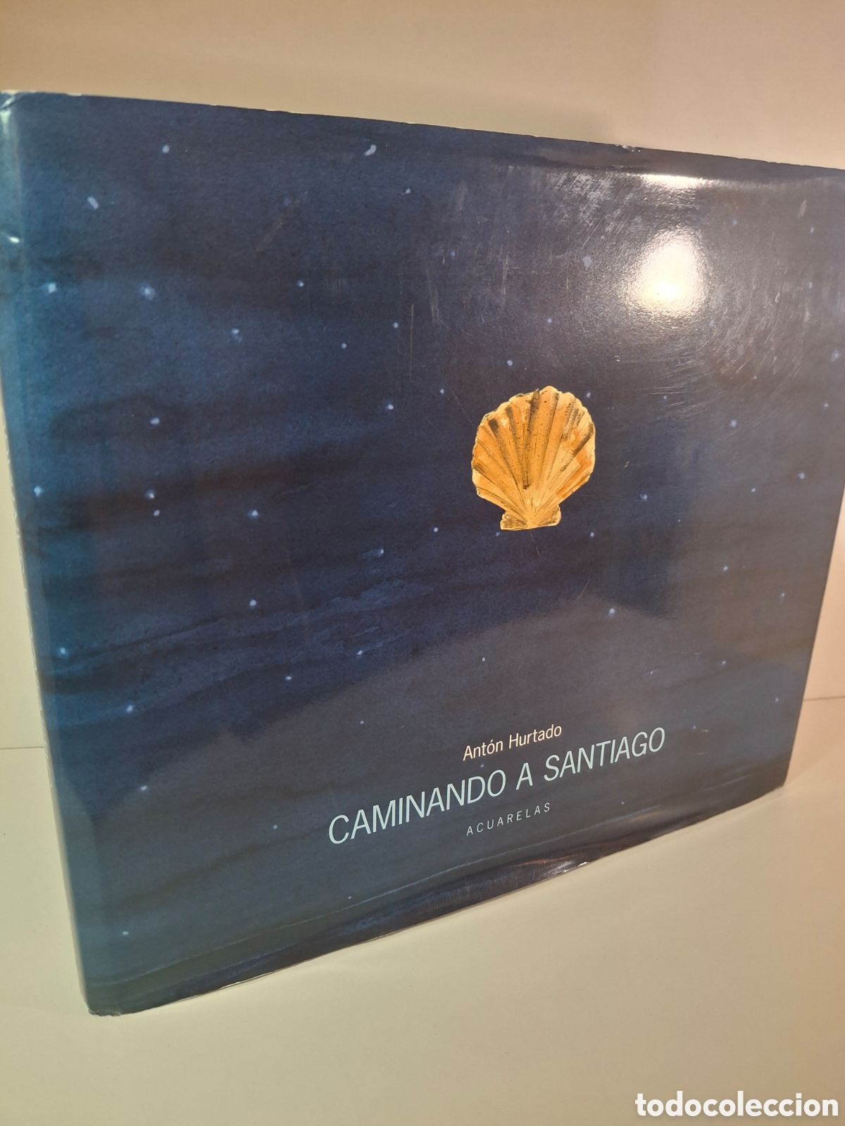 Libros de segunda mano: CAMINANDO A SANTIAGO, ACUARELAS, ANTON HURTADO, AMASTE, ESPACIO DE ARTE, 2005
