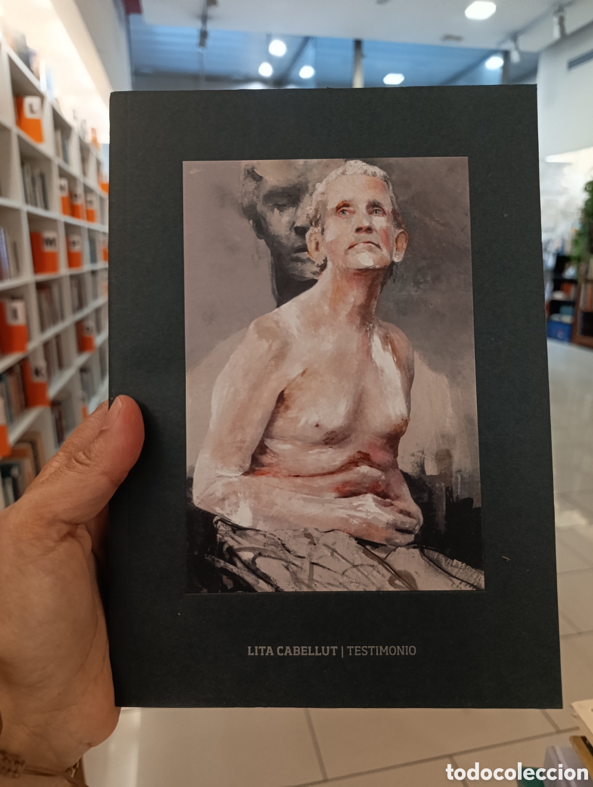Libros de segunda mano: TESTIMONIO - LITA CABELLUT - CAT&Aacute;LOGO EXPO 2017 MAC GAS NATURAL FENOSA