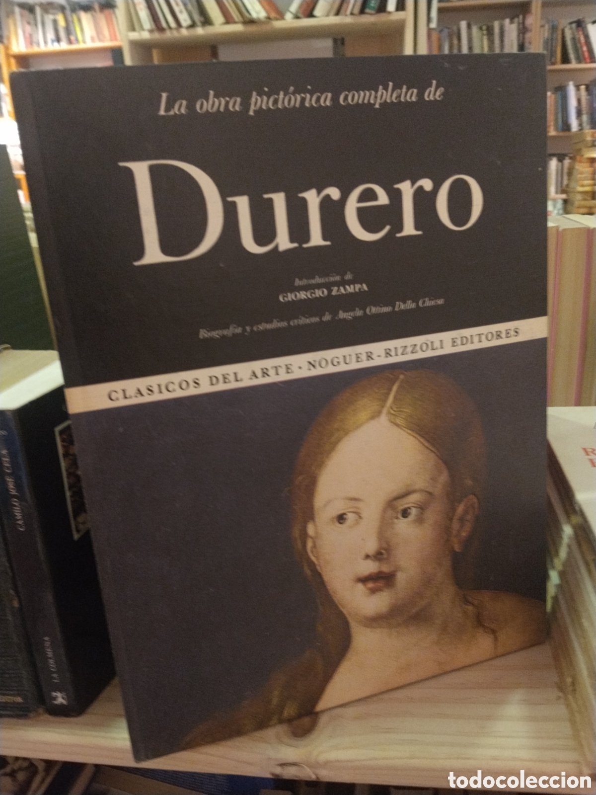 Libri di seconda mano: Giorgio Zampa. La obra pict&oacute;rica completa de Durero