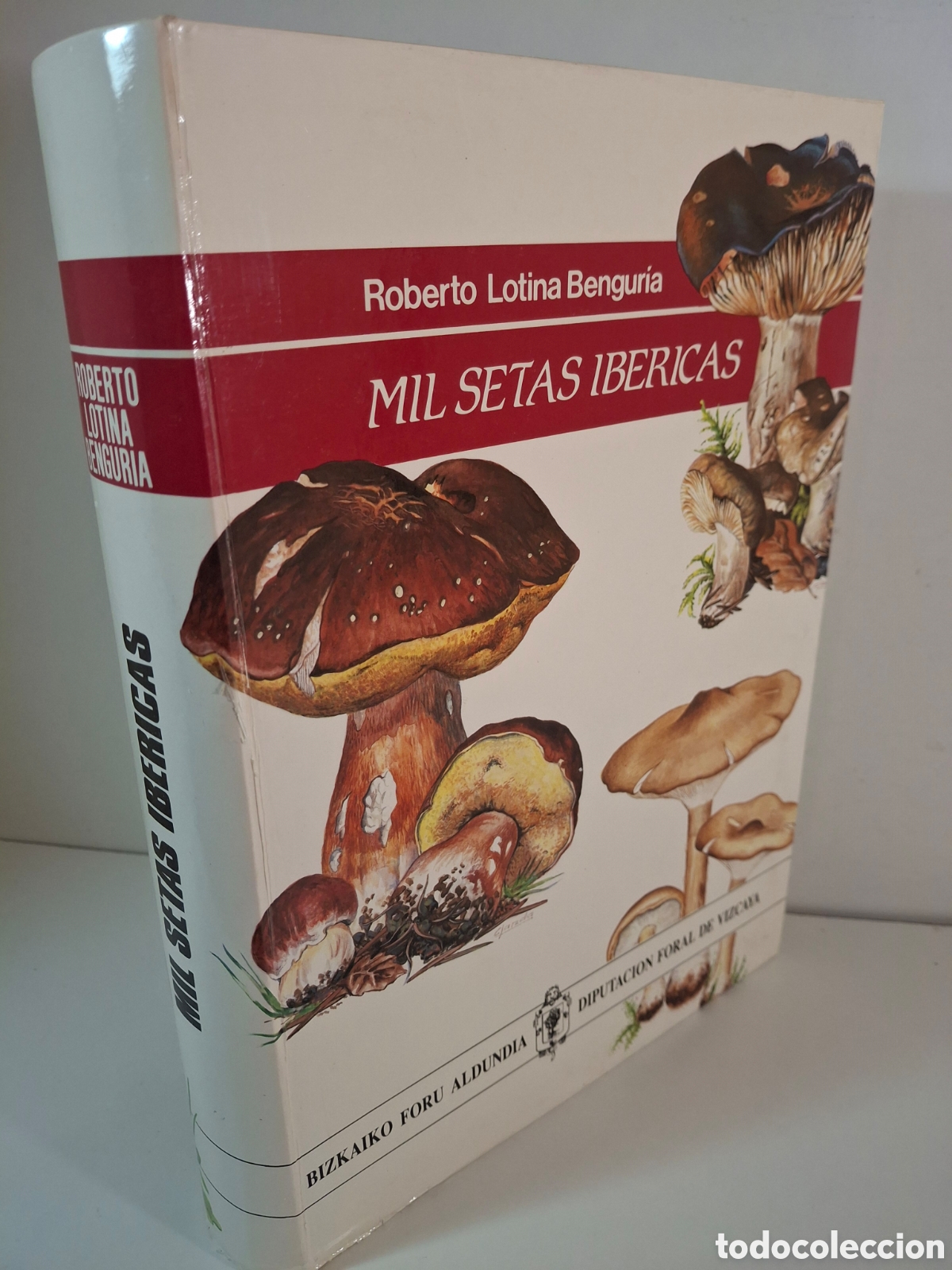 Libros de segunda mano: MIL SETAS IBERICAS, ROBERTO LOTINA BENGURIA, DFB, 1985