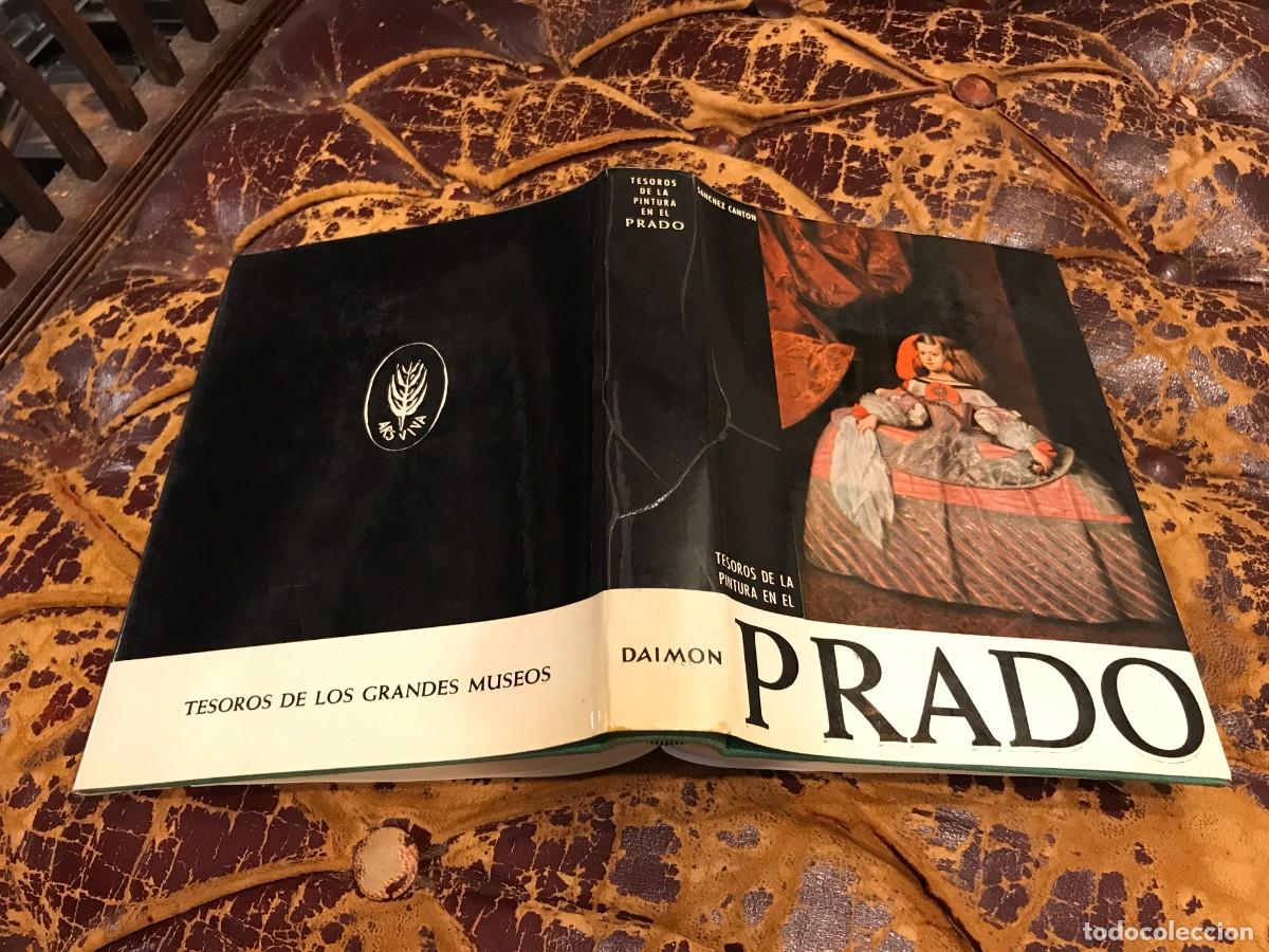 Libros de segunda mano: TESOROS DE LA PINTURA EN LOS MUSEOS DE HOLANDA. 1966, DAIMON