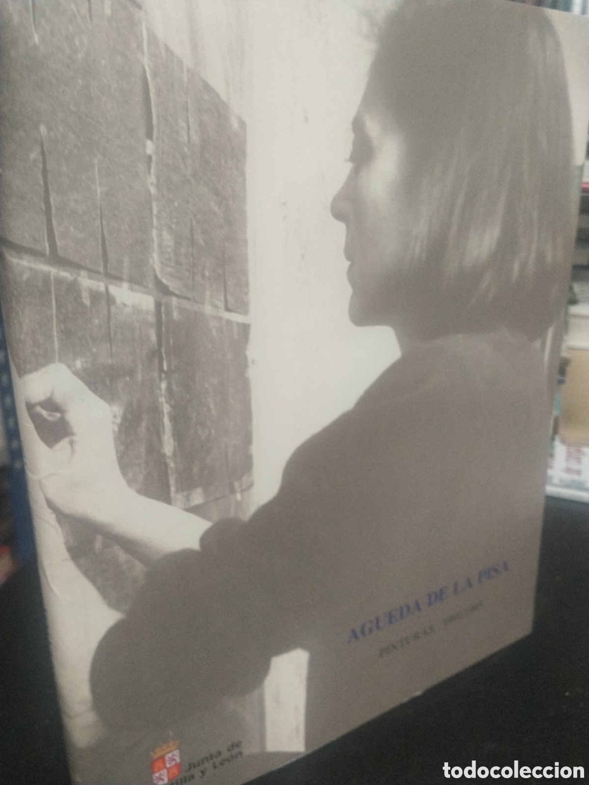 Libros de segunda mano: &Aacute;gueda de la Pisa. Pinturas 1991/1995