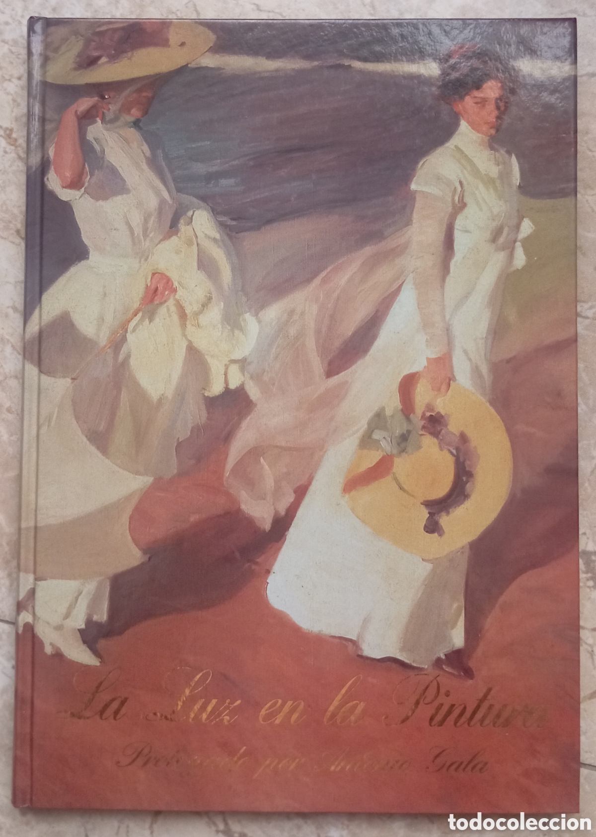 Libros de segunda mano: LA LUZ EN LA PINTURAPROLOGADO POR ANTONIO GALA