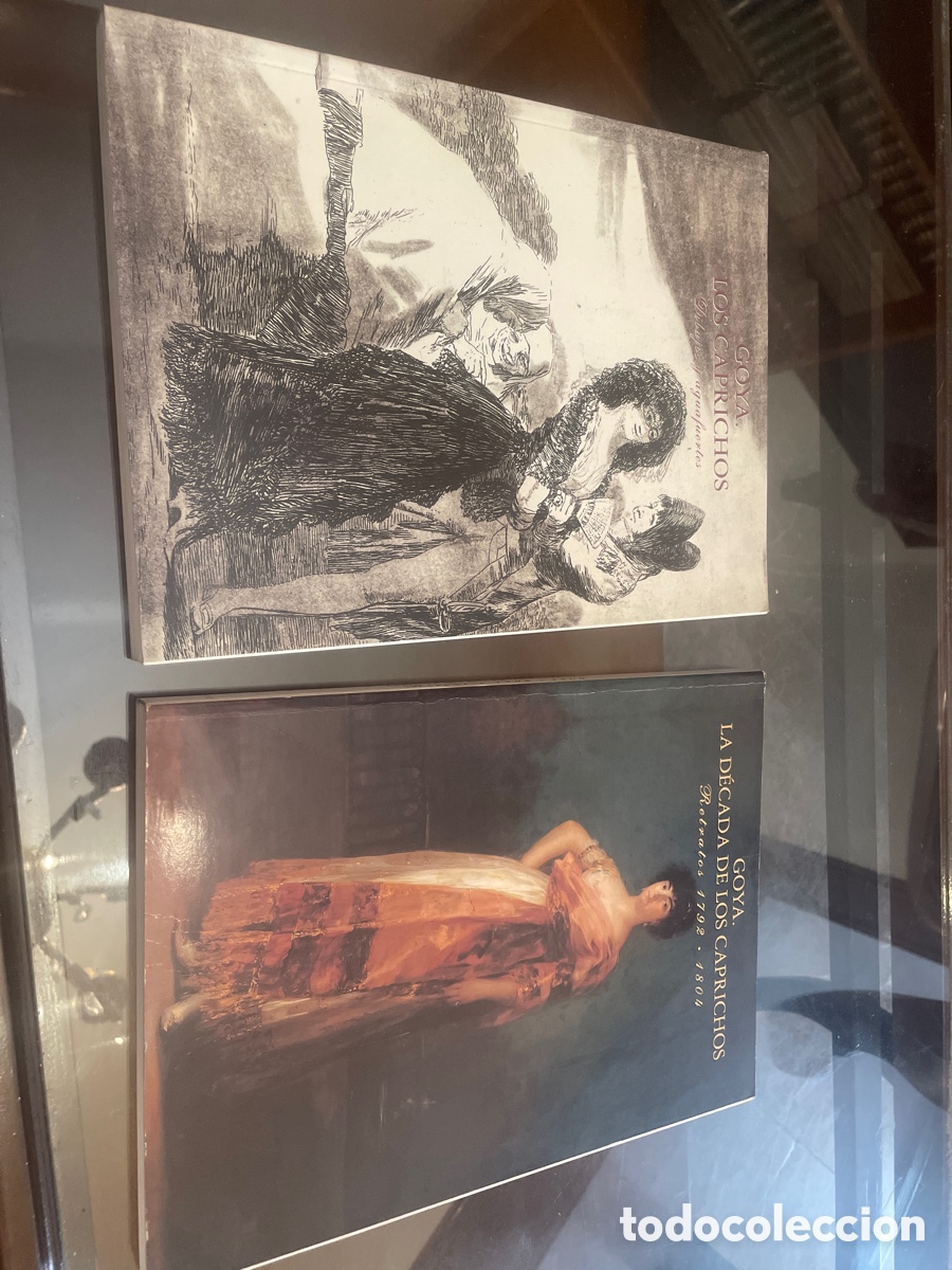 Libros de segunda mano: Lote 2 libros Goya: Los Caprichos (Dibujos y Aguafuertes) + La D&eacute;cada de los Caprichos (Retratos)