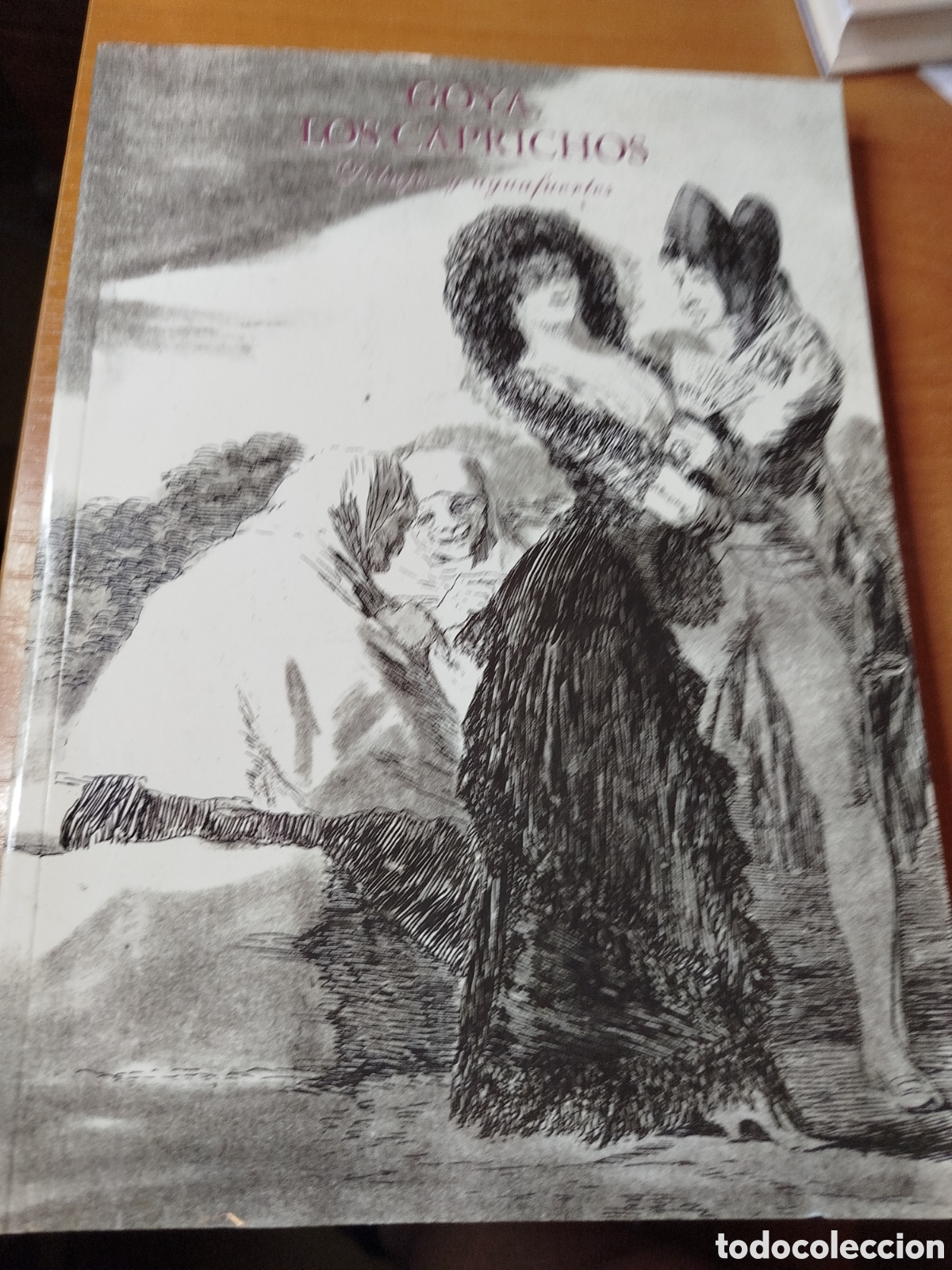 Libros de segunda mano: Goya los caprichos dibujos y aguafuertes. Los Caprichos de Goya