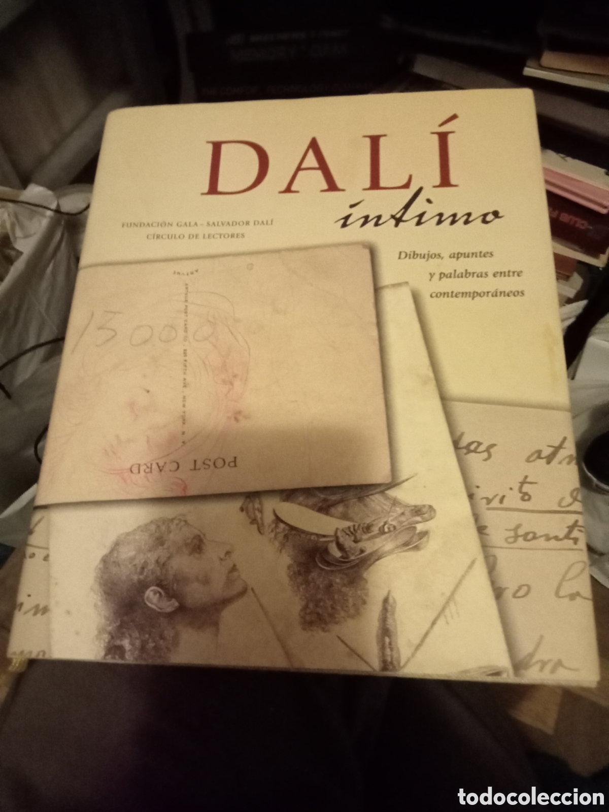 Libros de segunda mano: Dali intimo Fundaci&oacute;n Gala Dal&iacute; 2004