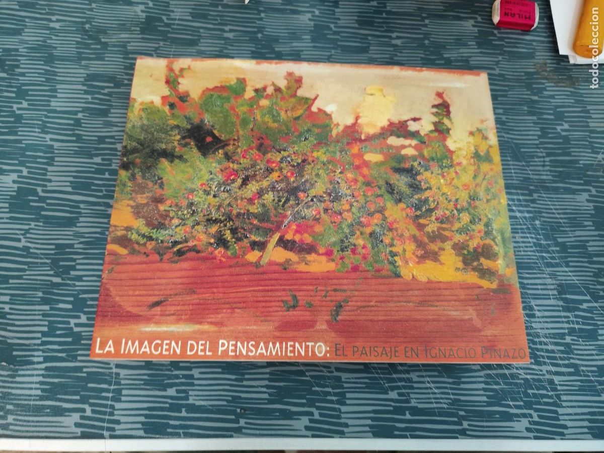 Libros de segunda mano: LA IMAGEN DEL PENSAMIENTO:EL PAISAJE EN IGNACIO PINAZO,2001,220 P&Aacute;GINAS.