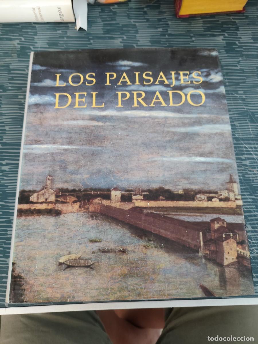 Libros de segunda mano: LOS PAISAJES DEL PRADO,1993,418 P&Aacute;GINAS,VER FOTOS Y SUMARIO.