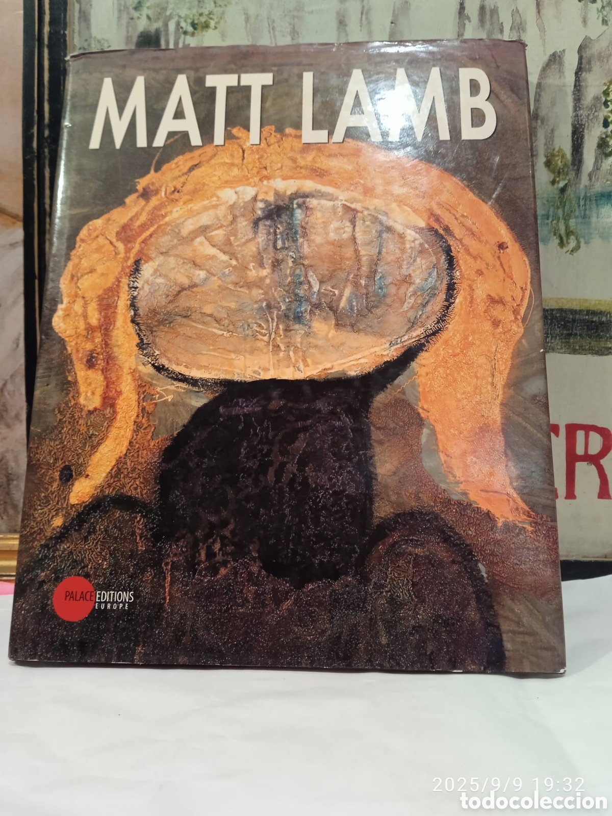 Libros de segunda mano: Matt Lamb texto Alexander Borovsky