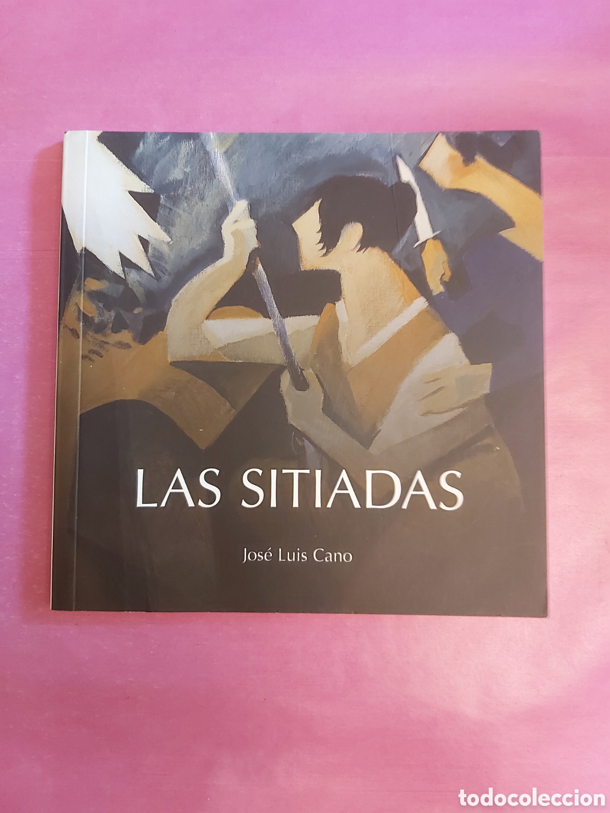 Libros de segunda mano: LAS SITIADAS JOS&Eacute; LUIS CANO XORDICA 2008 ISBN 9788496457386