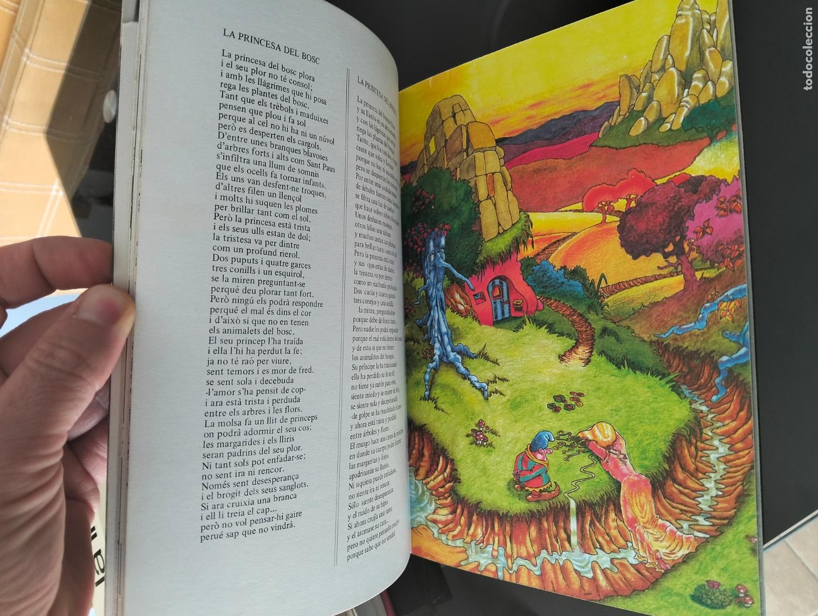 Libros de segunda mano: Ilustracion, Hippy. Pau Riba, Graficolorancia, Ed. Bilingue, catalan, 1976 VISITA MI CATALOGO