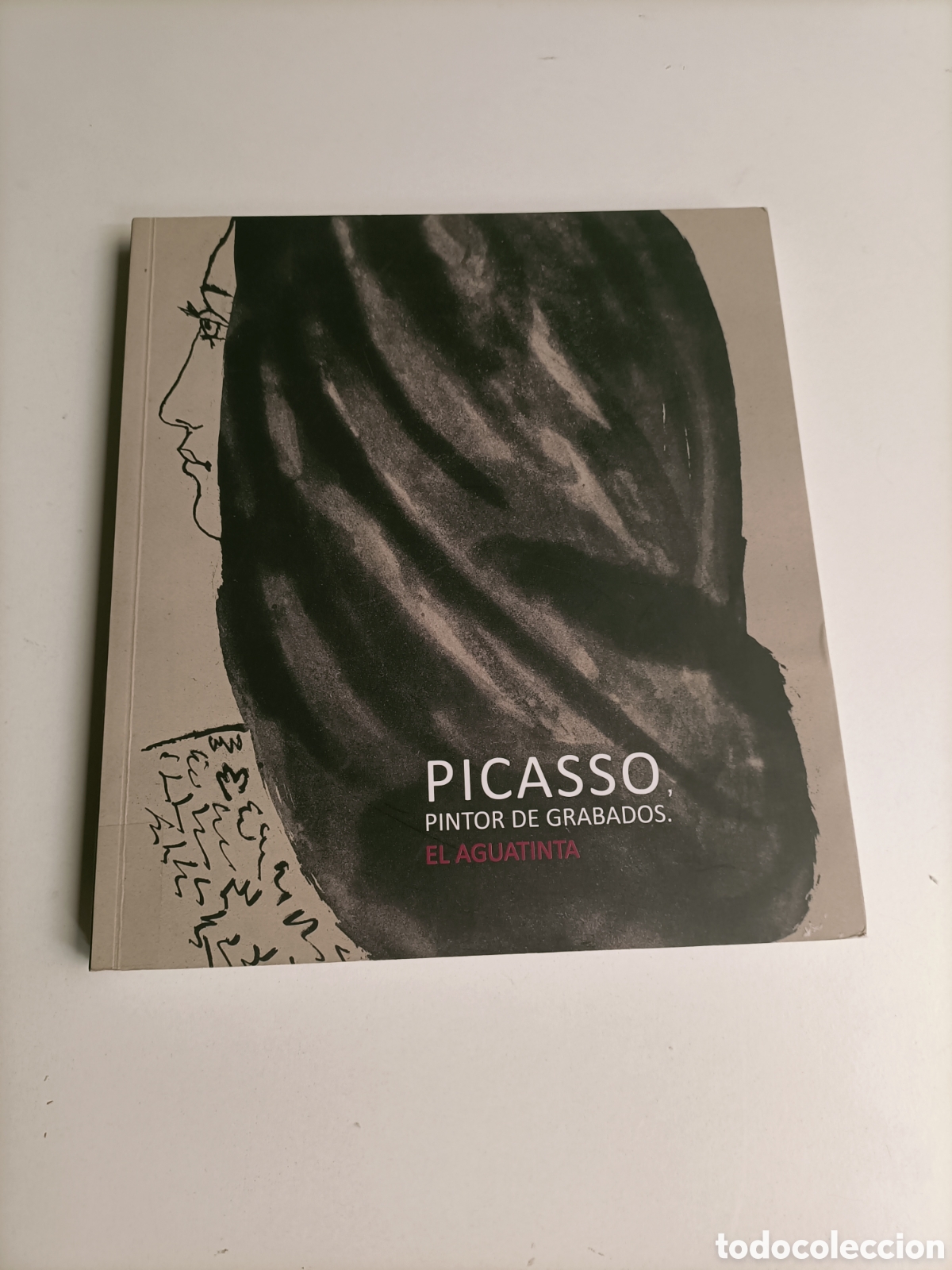 Libros de segunda mano: Picasso. Pintor de grabados. El aguatinta