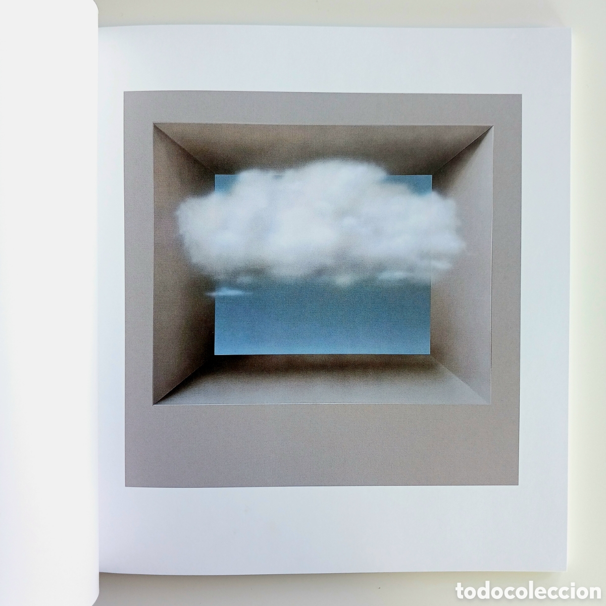 Libros de segunda mano: Cat&aacute;logo de Teruhiro Ando &rdquo;Naturaleza resignificada&rdquo;