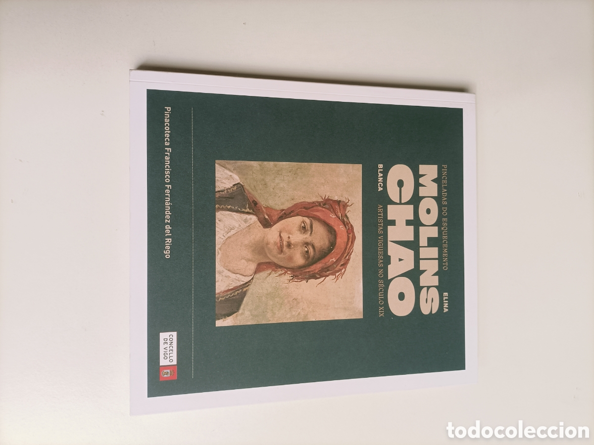 Libros de segunda mano: Pinceladas do esquecemento. Elina Molins Blanca Chao. Artistas viguesas. Temas gallegos