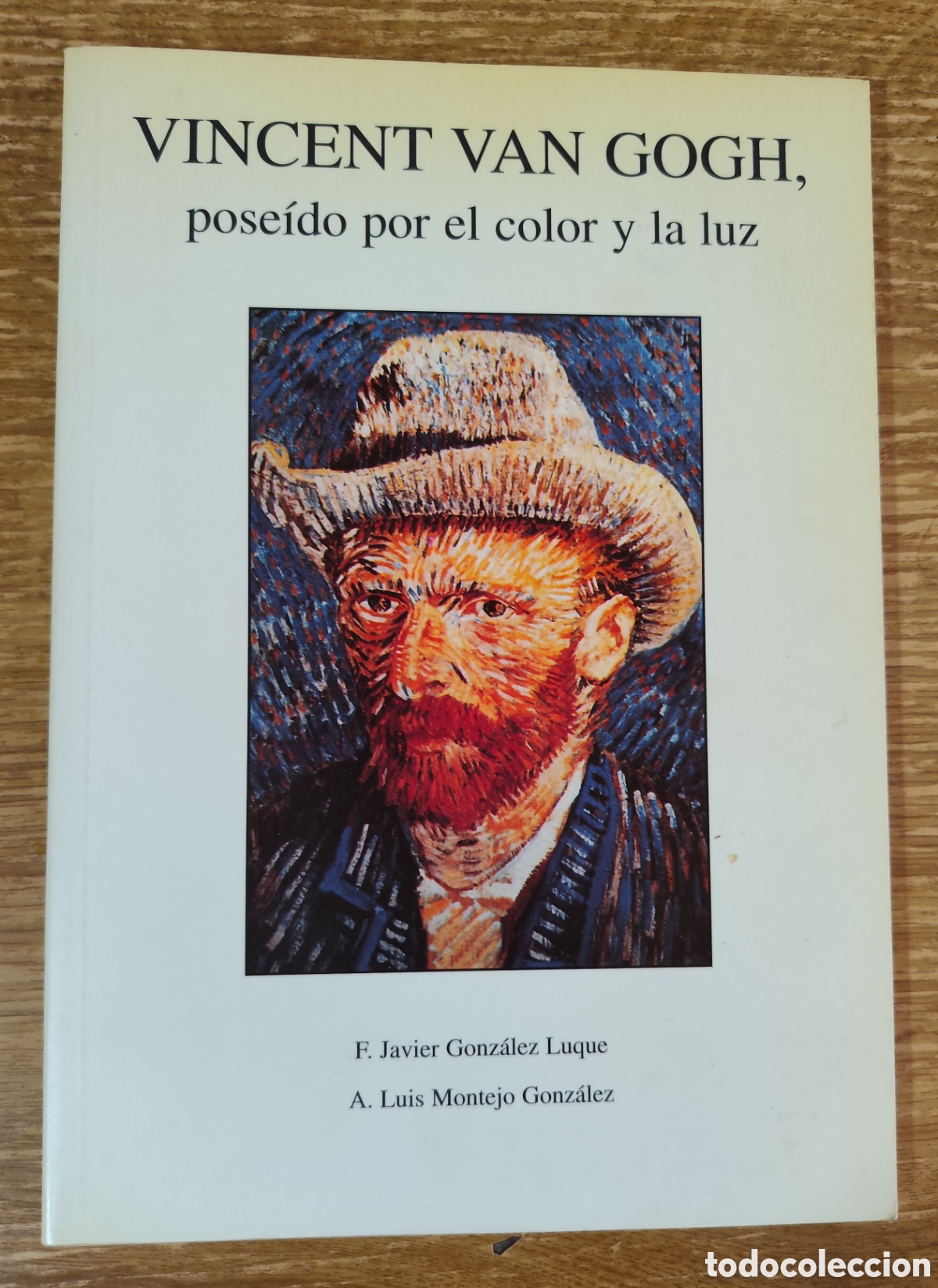 Libros de segunda mano: Libro - Vincent Van Gogh. Pose&iacute;do por el color y la luz (1997) Gonz&aacute;lez Luque y Montejo Gonz&aacute;lez
